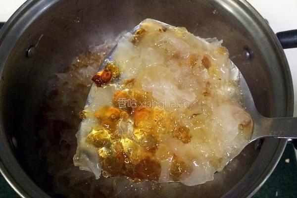 牛奶桃胶银耳羹的做法图解12