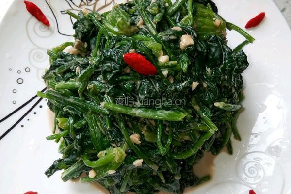 麻酱菠菜的做法图解6