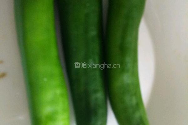 酱焖辣椒的做法图解1