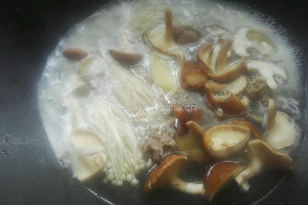 双菇滚鸭汤的做法图解6