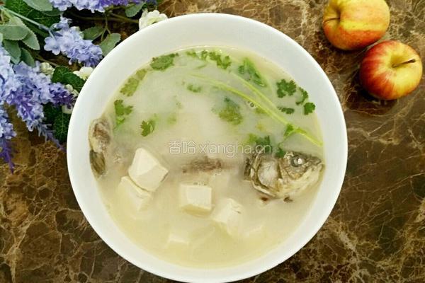 奶汤鲫鱼的做法图解8
