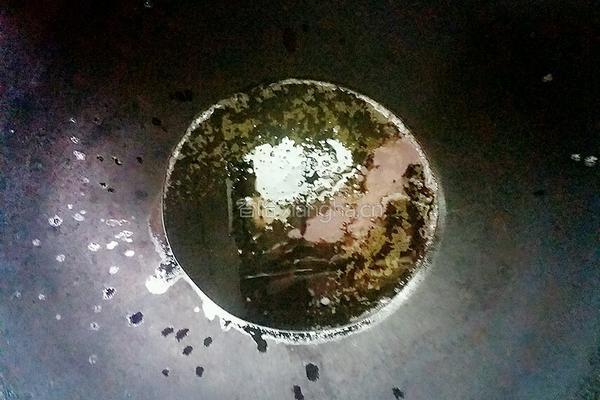 清蒸海鲈鱼的做法图解6