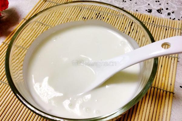 水果酸奶捞的做法图解2
