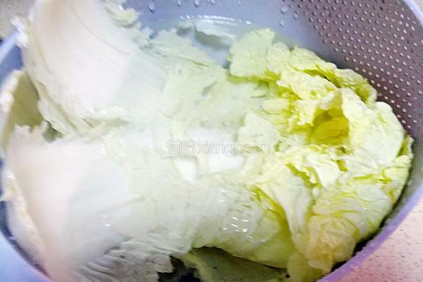 白菜粉条的做法图解3