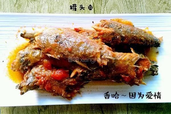 鱼罐头