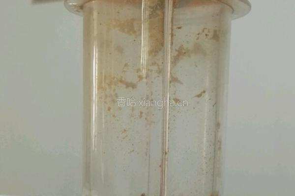 椒盐乳鸽的做法图解4