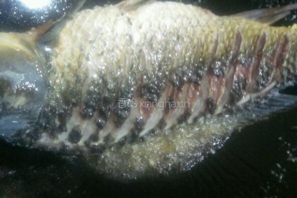 清炖鱼的做法图解2
