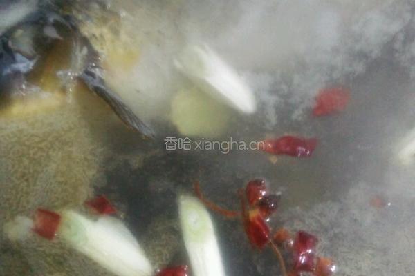 清炖鱼的做法图解5