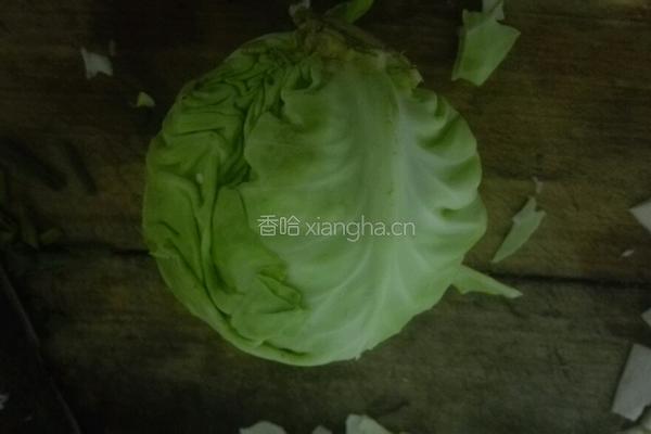 辣炒圆白菜的做法图解1