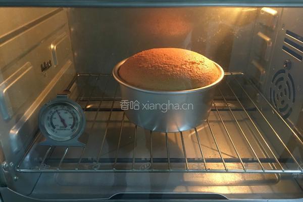 海绵蛋糕的做法图解9