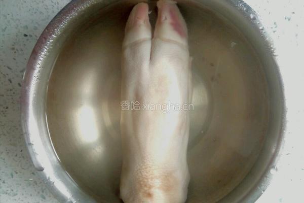 炖猪脚的做法图解2