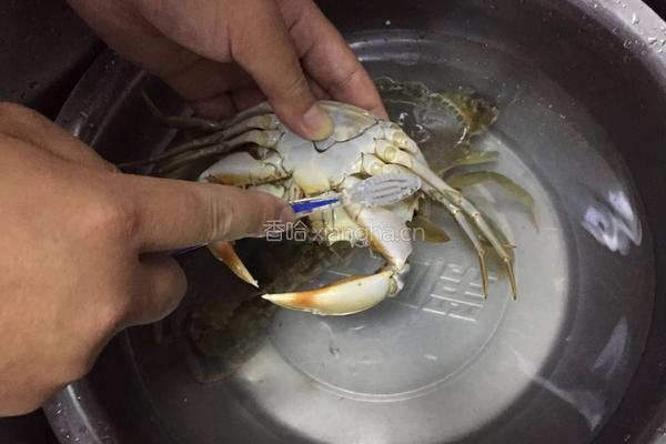 红烧青蟹的做法图解4