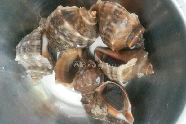 凉拌海螺的做法图解1