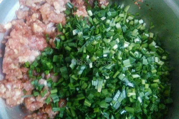 韭菜猪肉虾仁水饺的做法图解6