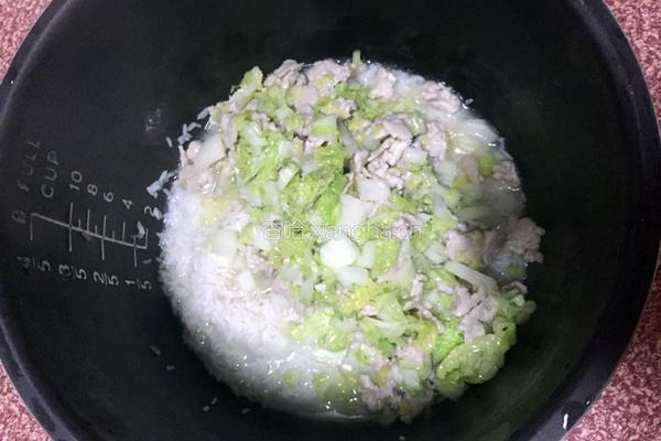 白菜瘦肉粥的做法图解6