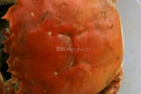 螃蟹沾辣酱的做法图解4