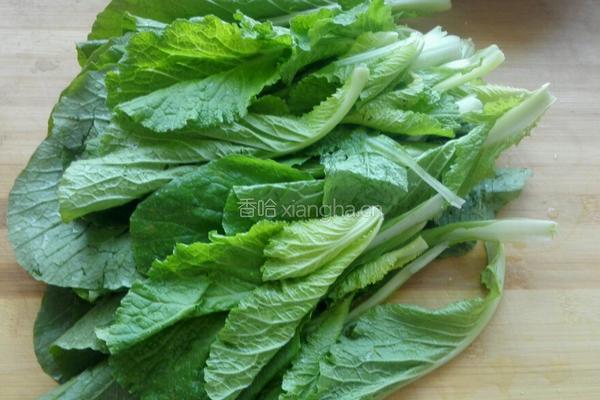 虾米白菜的做法图解1