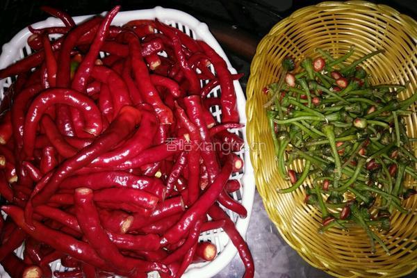 自制湖南剁辣椒酱的做法图解3