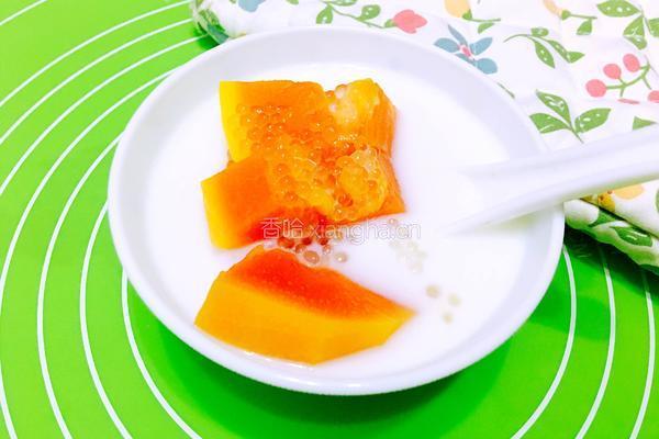 木耳牛奶西米露的做法图解5