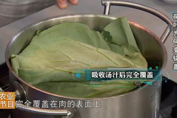 CCTV7《食尚大转盘》稻香红烧肉的做法图解4