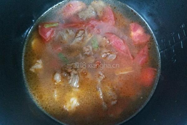 番茄牛肉的做法图解9