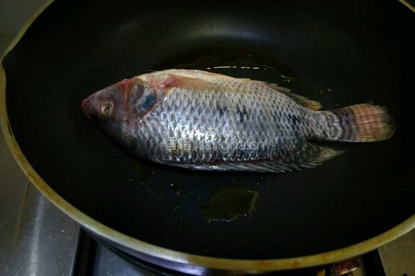 番茄烧鱼的做法图解5
