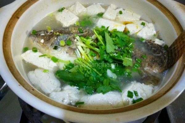 罗非鱼豆腐煲的做法图解9