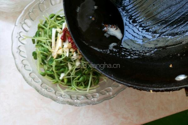 脆拌黑豆苗的做法图解6