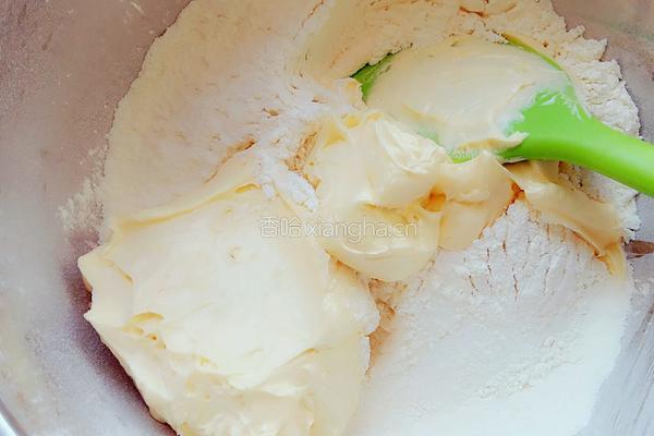 抱坚果的小饼干的做法图解8