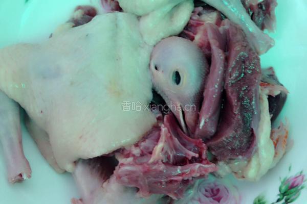 天麻炖乳鸽的做法图解1