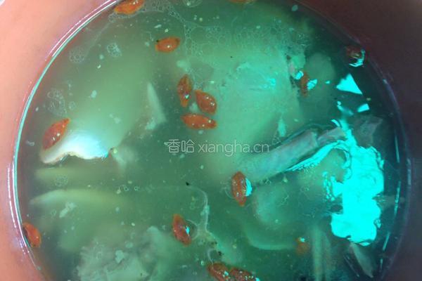天麻炖乳鸽的做法图解9