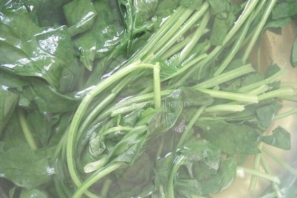 菠菜馅饺子的做法图解4