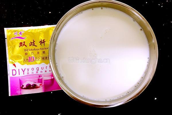 烤箱酸奶的做法图解4