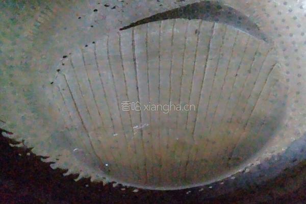 红烧鲢鱼的做法图解5