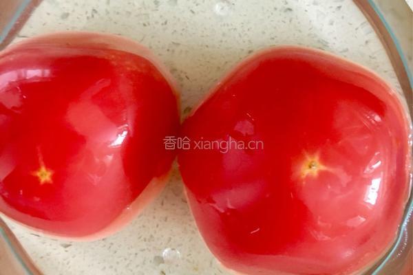 芝士焗意面的做法图解1