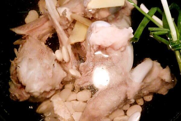 白萝卜骨头汤的做法图解4