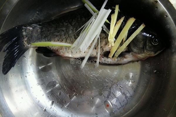 腐竹金针菜鱼汤的做法图解3