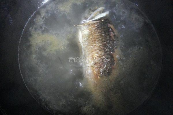 腐竹金针菜鱼汤的做法图解6