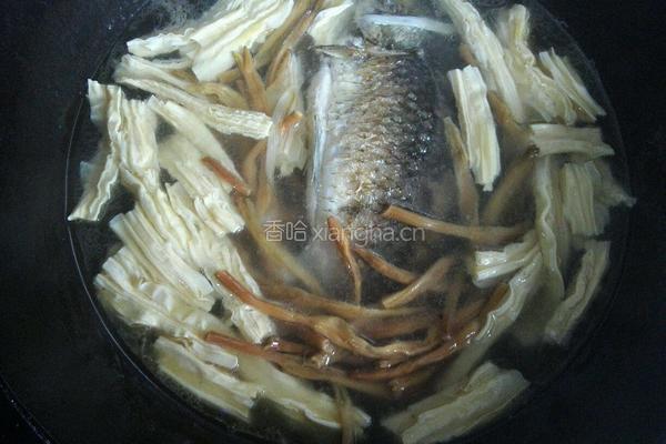 腐竹金针菜鱼汤的做法图解7