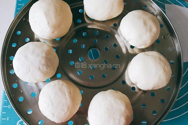梅干菜肉包子的做法图解14