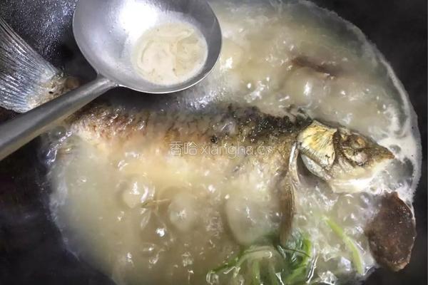 野生鲫鱼汤的做法图解9