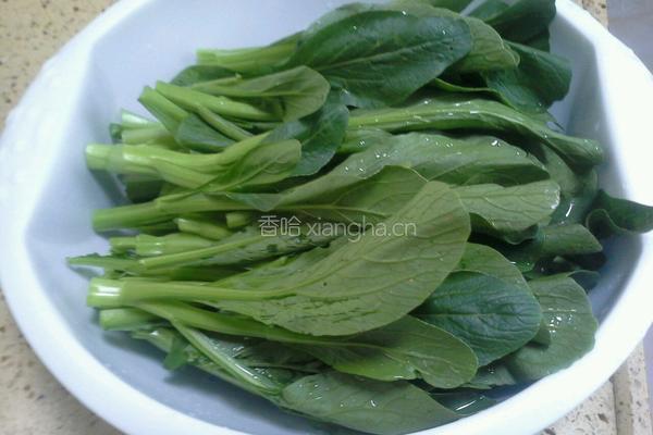 白灼菜心的做法图解2
