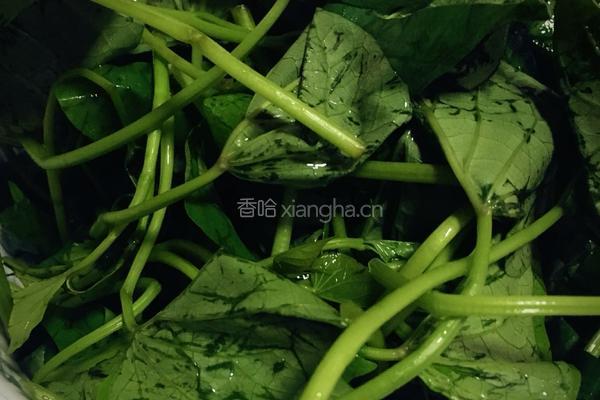 香炒红薯尖的做法图解1