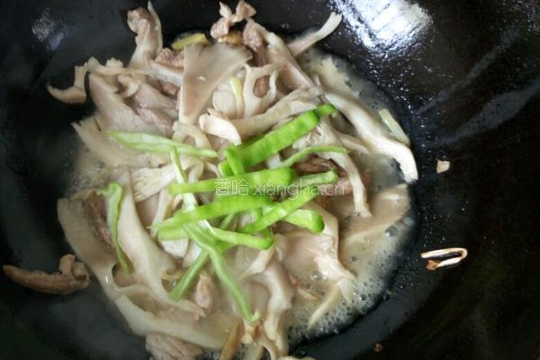 肉丝蘑菇的做法图解8