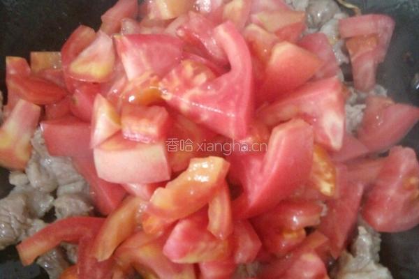 砂锅牛腩柿子的做法图解4