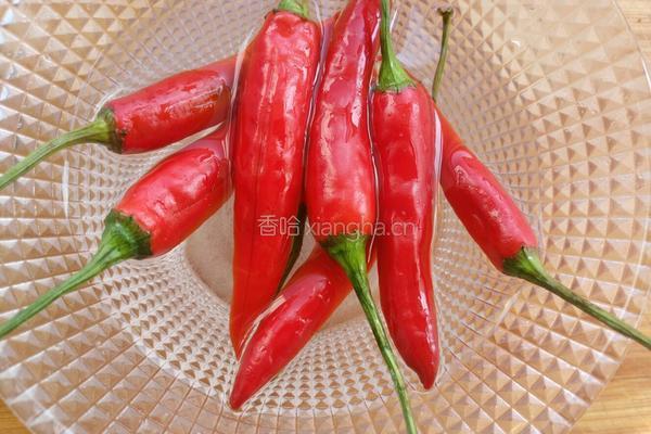 酸辣萝卜条的做法图解7