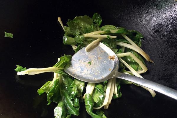 白菜烧豆腐的做法图解6