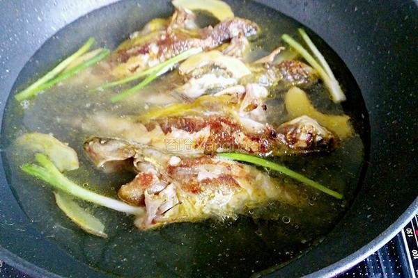 黄骨鱼焖豆腐的做法图解7