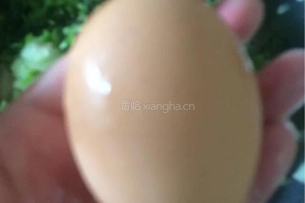 2岁儿童版~西瓜皮肉馅馄饨的做法图解5