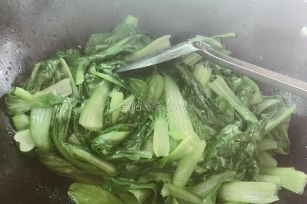 素炒上海青的做法图解4
